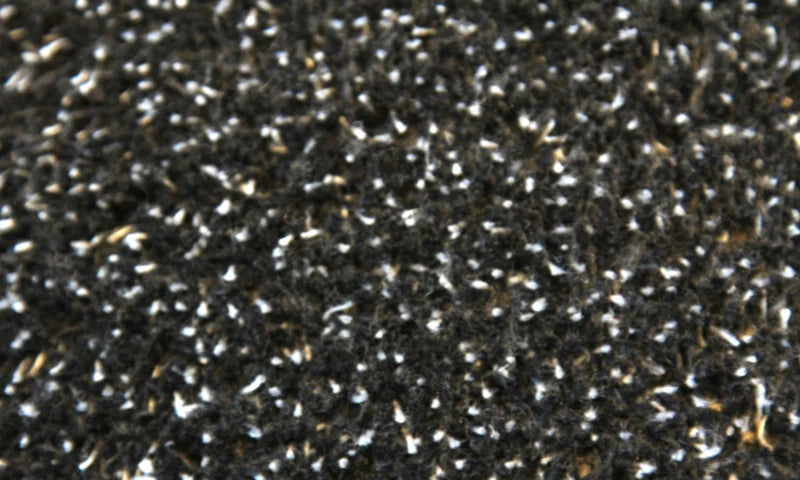 Droogloopmat zwart, detail 2